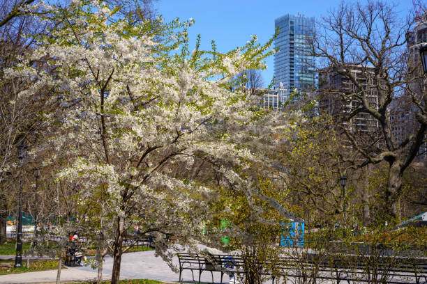Toronto, Canada -April 26, 2024: The campus of the University of Toronto is full of flowers and students walking everywhere in spring