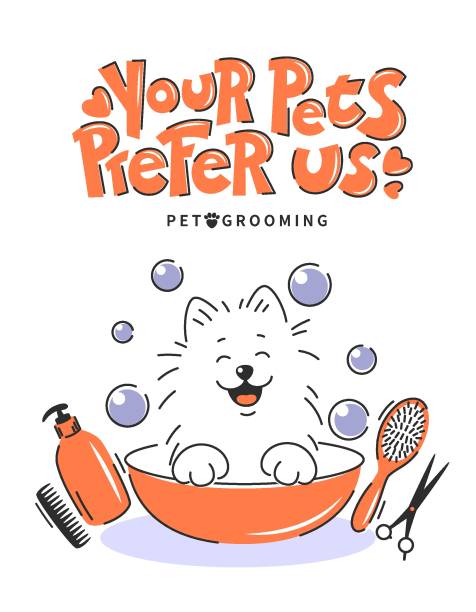 Grooming 35 new lettering Animal hair grooming salon, haircuts, bathing. Cartoon dog taking a bath full of soapy suds. Handwritten inscription. Dog pet grooming. Vector illustration pomeranian dog taking a bath stock illustrations