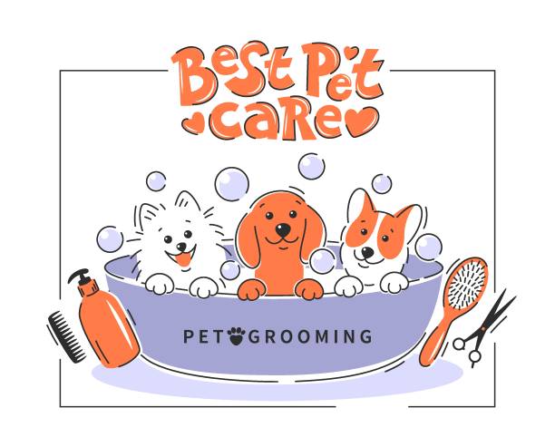 Grooming 11 lettering Pet grooming. Cartoon dogs taking a bath full of soapy suds. Animal hair grooming, haircuts, bathing, hygiene. Vector illustration pomeranian dog taking a bath stock illustrations