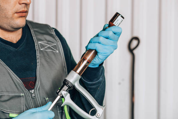 istock Technician, equipped with a sophisticated syringe, demonstrates field expertise in veterinary science, crucial for effective cattle vaccination and herd management. 2151972956