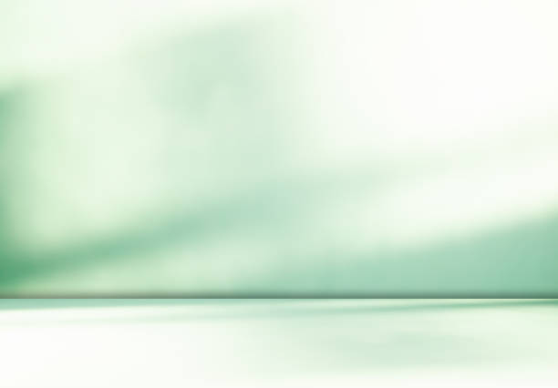 istock Green Shadow Background Studio Room Photo Empty Gradient Leaf Floor Wall Backdrop Muslin Design Canvas Surface Texture Podium Eco Scene Mockup Product Cosmetic Beauty Organic Display Stand Stage. 2151983671