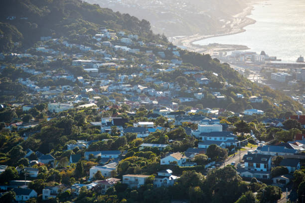 istock Residential Houses 2151984069