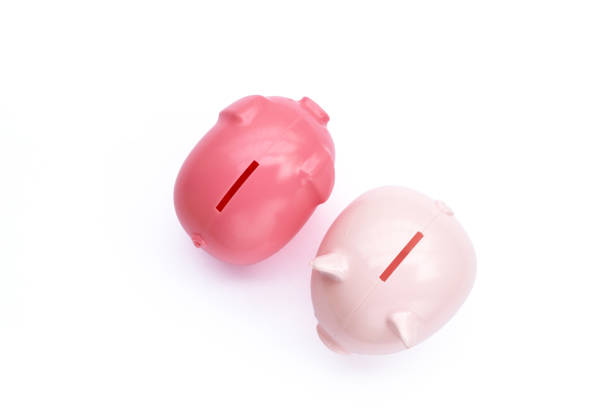Pink piggy bank on white background.
