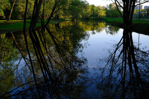 water colour reflection of summer landscape in water. trees, sky, lake. beautiful nature background