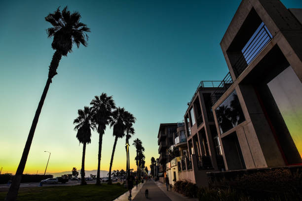 istock Ocean Front Walk at Sunset - Venice Beach, Los Angeles, California 2151988859