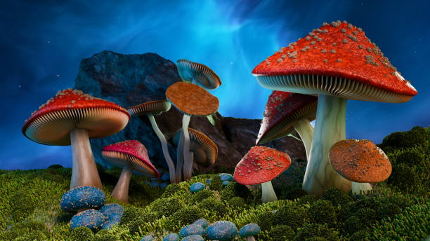 istock Variety of bright fly agaric mushrooms and toadstools thrive in the night landscape illuminated by radiant heavenly radiance. 3d render 2151991072