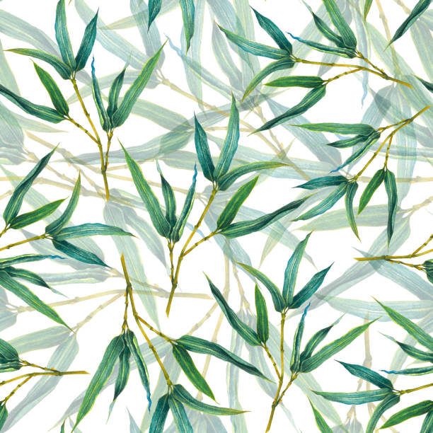 istock Seamless pattern with green bamboo branches. Hand drawn illustration of green leaves on white isolated background. Design for cards, wrapping paper, wallpaper, textile, fabric, print, cover, banner 2151992386