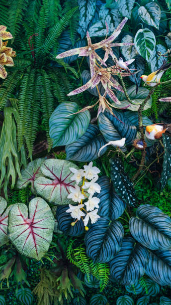 istock Tropical green leaves background. 2151993631