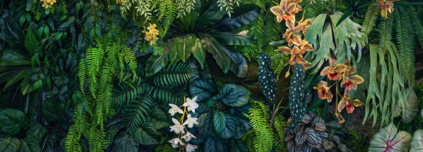 istock Group of dark green tropical leaves background. 2151993632