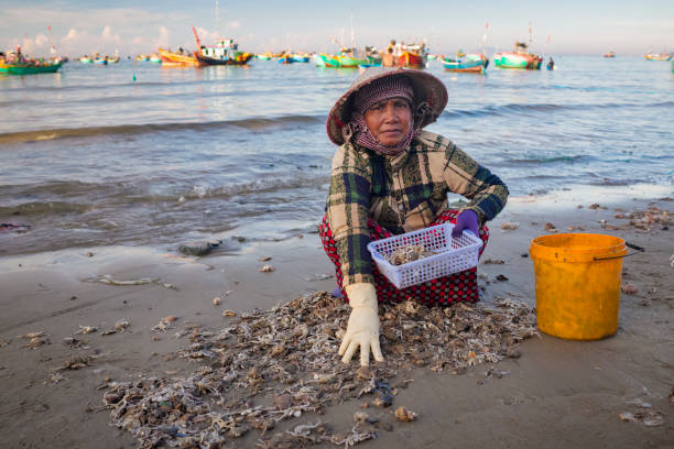istock Vietnamese woman sorting fresh catch, Mui Ne 2151999199