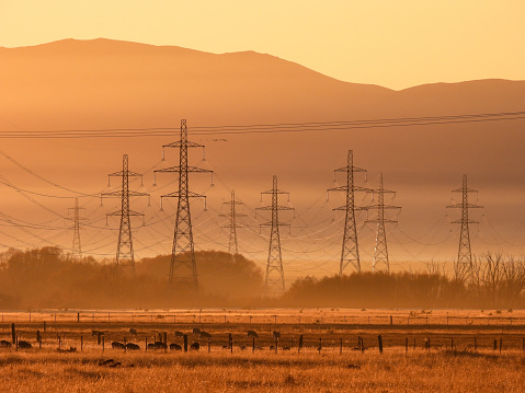 Electricity pylons and transmission lines span across a rural landscape near Twizel in the Southern Alps of the South Island. These structures are located near hydro power stations. A flock of sheep is in the paddocks, while a flock of geese is in the air.  This image was taken on a cold and sunny morning at sunrise on 30 April 2024.