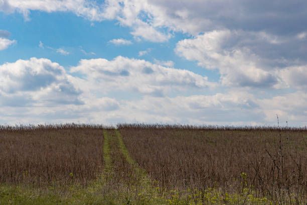 Country road over fields to horizon