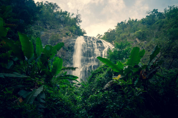 the waterfall on the mountain in Thailand