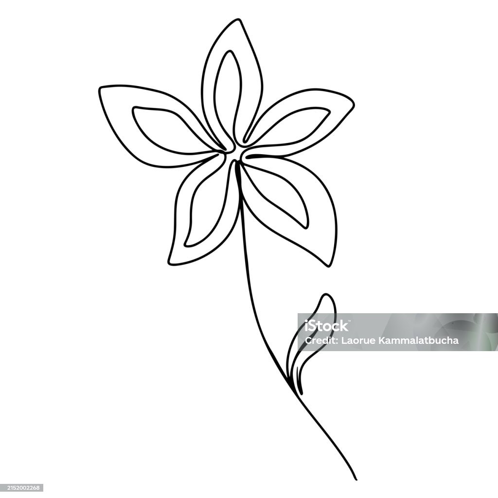Flor Line Ilustración de Dibujo Continuo De Una Línea De Flor Ilustración Gráfica ...