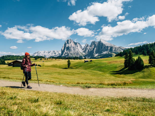 A woman is walking with hiking poles in a Seiser Alm footpath. Sassolungo and Sassopiatto in the background.