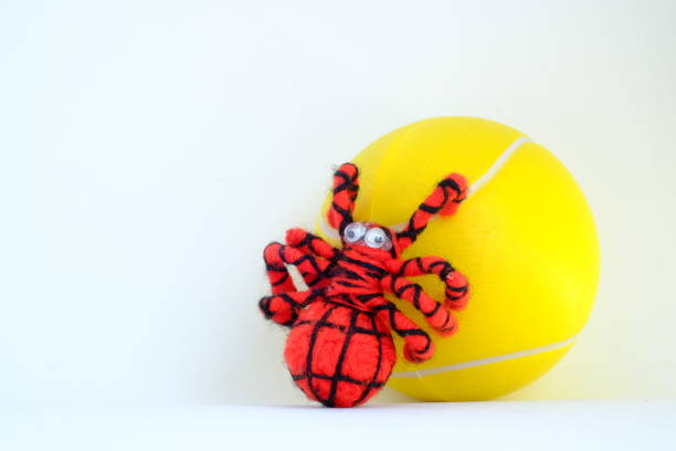 the spider hang on the ball