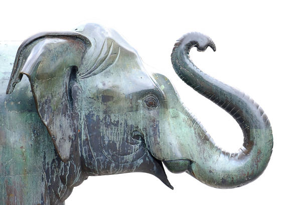 the elephant head marble in white background