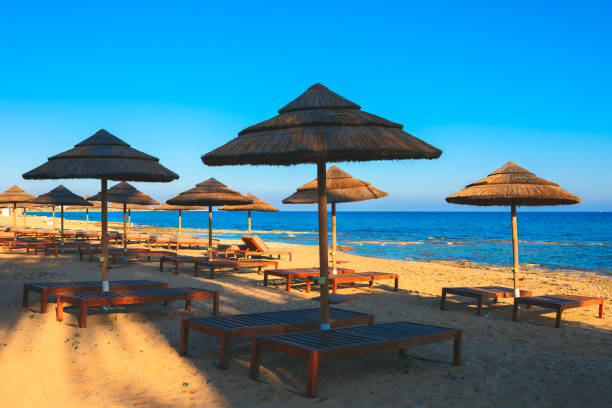 istock Exotic sunbeds and umbrellas on the beach 2152010305