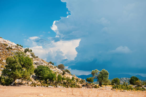 Nature summer background with cloudy blue sky, mountain hill and trees