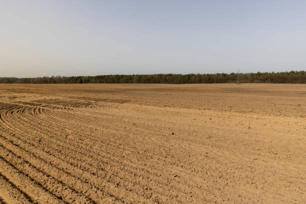 istock an agricultural field with plowed soil during spring sowing 2152016789