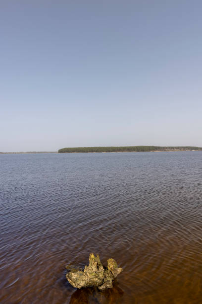 istock part of a wide river with dark water 2152016942