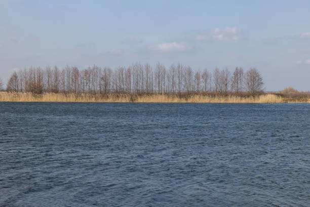 istock waves on the surface of the river in sunny weather 2152017104