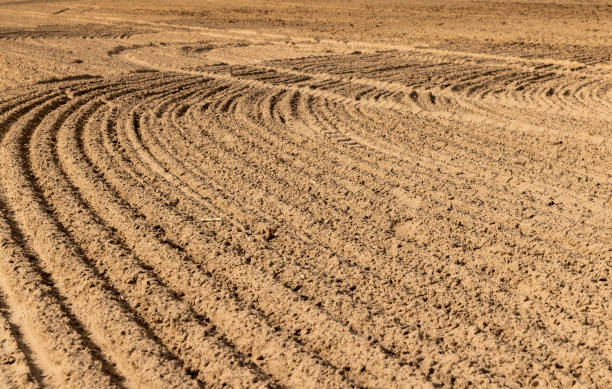 istock an agricultural field with plowed soil during spring sowing 2152017129