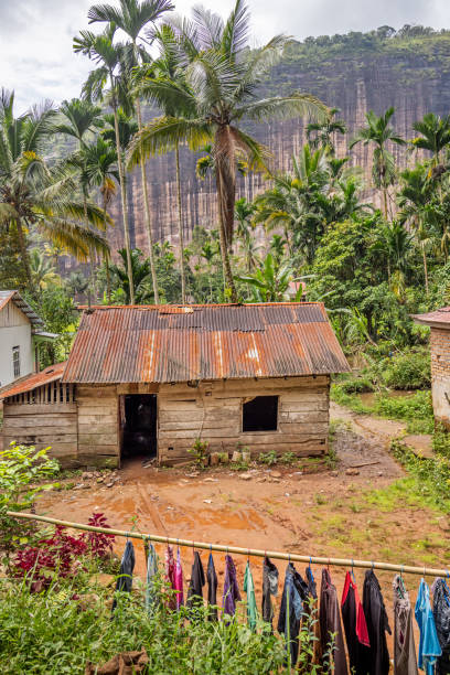 Harau Valley, West Sumatra, Indonesia - February 9th 2024:  Small residential wooden house with a row of laundry in the front and tall coconut palm trees behind