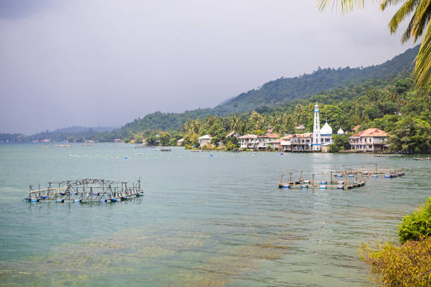 Lake Singkarak, West Sumatra, Indonesia - February 10th 2024: Lake shore with a look to a mosque, fish farms and coconut palm trees