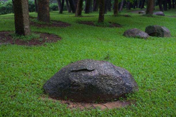 istock Black stones in the grass 2152023451