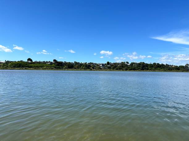 istock Waters of the marshes 2152025250