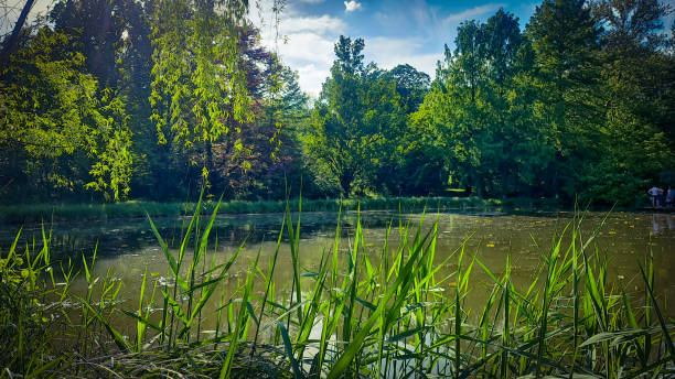 istock Vacrat Botanical Garden 2152026570