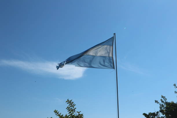 Wing suit flier soars in blue skies