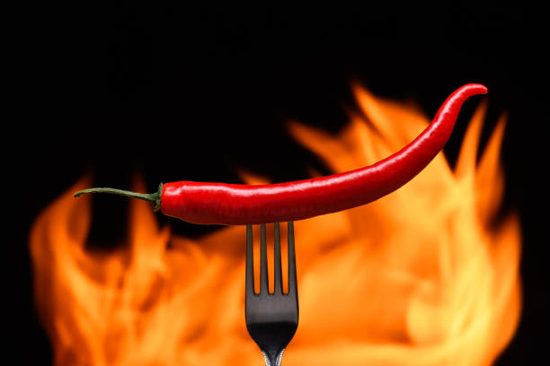 red chili pepper, pricked on a fork, on a background of burning fire, flames on a black background