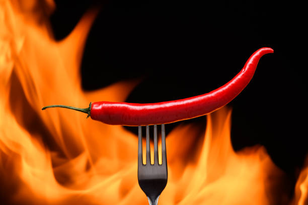 red chili pepper, pricked on a fork, on a background of burning fire, flames on a black background