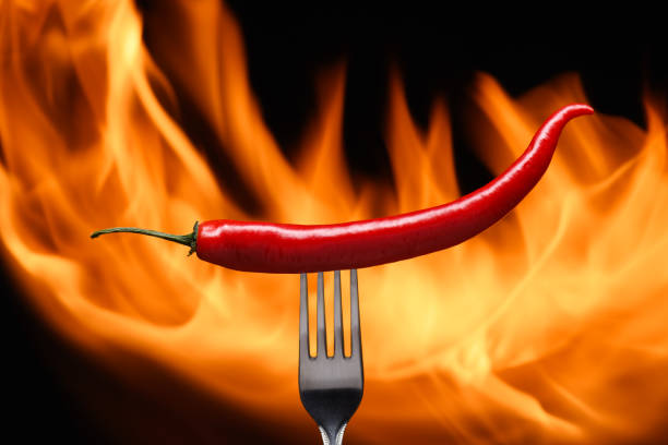 red chili pepper, pricked on a fork, on a background of fire, flames on a black background
