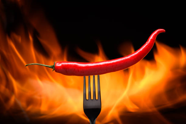 red chili pepper, pricked on a fork, on a background of burning fire, flames on a black background