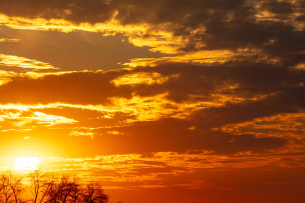 Golden sunset on the sky with clouds.
