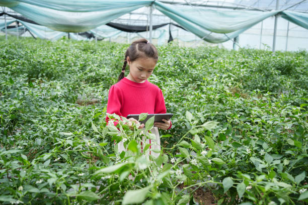 istock Girl recording vegetable growth 2152036822