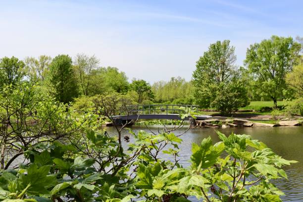 istock Pond in the Park 2152037525