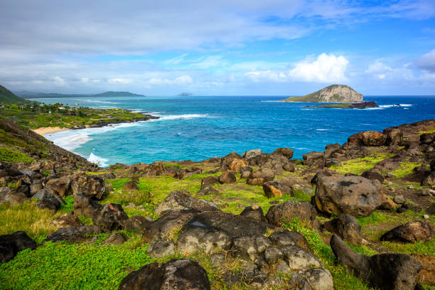 istock Lava stones at the beach in Hawaii 2152037546