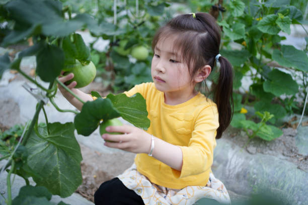 istock Asian child holding melon in hand 2152038012