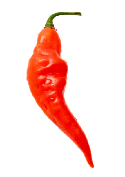 istock One red chili pepper isolated white background. Close-up 2152040205