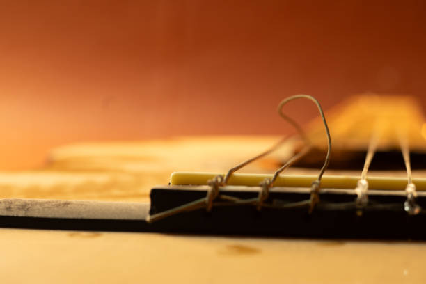 Acoustic guitar strings, close up. isolated on white background.