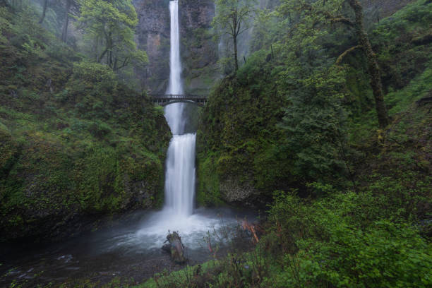 istock Multnomah Falls Oregon travel destination 2152041607