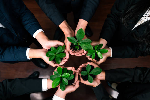 istock Eco-friendly business investment on forest regeneration. Quaint 2152049864