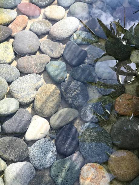 istock stones at the bottom of the pond 2152050132