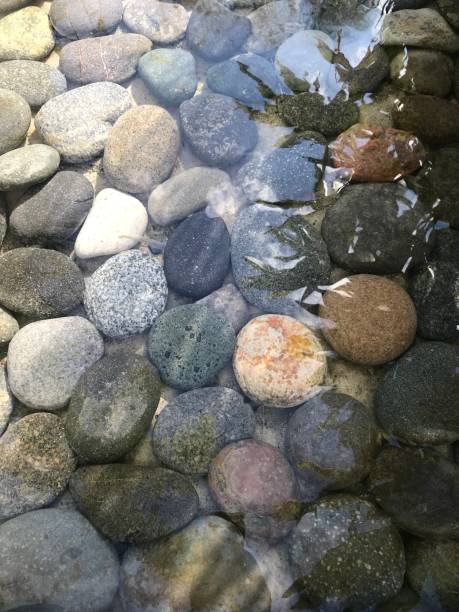 istock stones at the bottom of the pond 2152050134