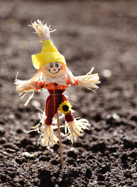 Garden scarecrow on the field