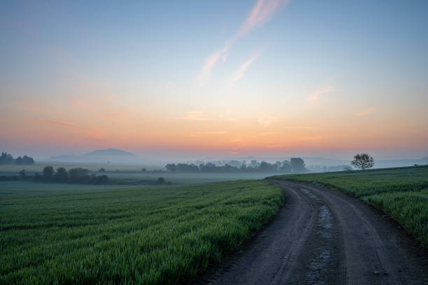 istock Thuerer meadows close to Mendig during sunrise, Eifel, Rhineland-Palatinate, Germany 2152051193